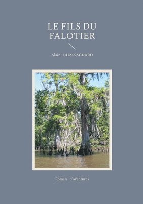 bokomslag fils du falotier