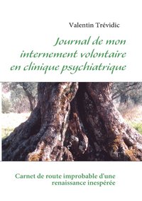 bokomslag Journal de mon internement volontaire en clinique psychiatrique