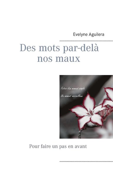 bokomslag Des mots par-delà nos maux