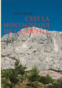 bokomslag C'est la montagne qui me l'a soufflé