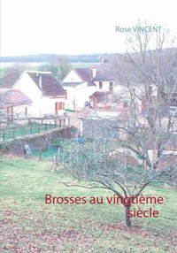 bokomslag Brosses au vingtième siècle