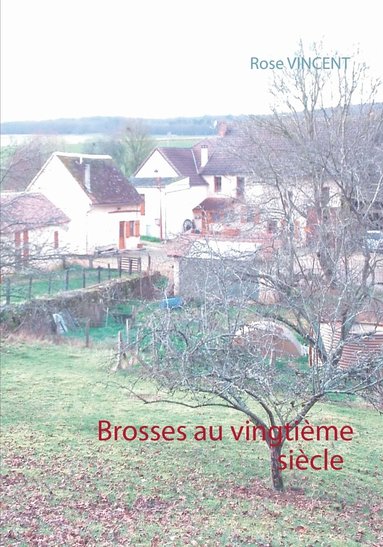 bokomslag Brosses au vingtième siècle