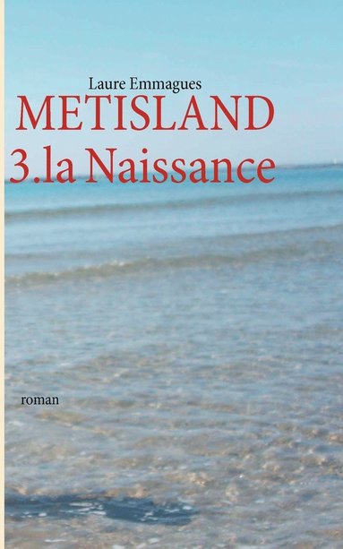 bokomslag Metisland