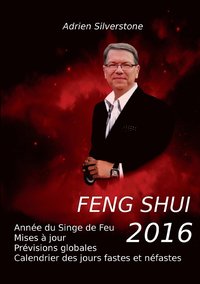 bokomslag Feng Shui 2016