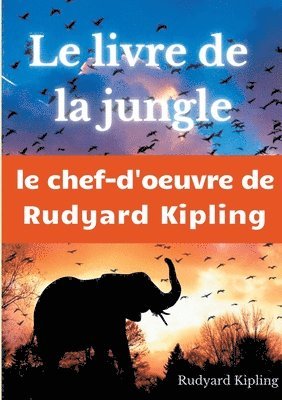 Le Livre de la jungle 1