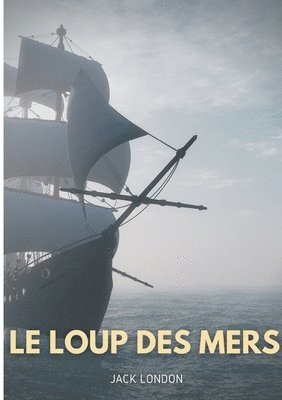 bokomslag Le loup des mers