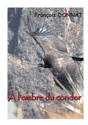 À l'ombre du condor 1