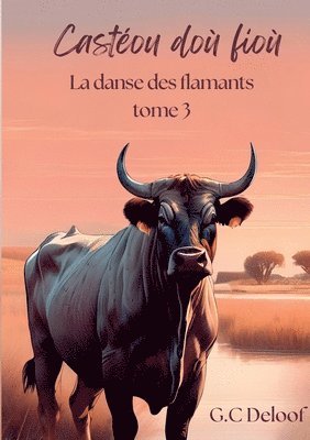 bokomslag Castéou doù fioù: La danse des flamants, tome 3