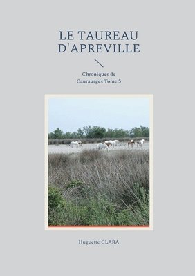 bokomslag Taureau d'Apreville