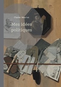 bokomslag Mes idées politiques