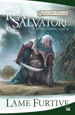 La Légende de Drizzt, T11: Lame furtive 1