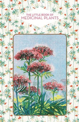 bokomslag The Little Book of Medicinal Plants