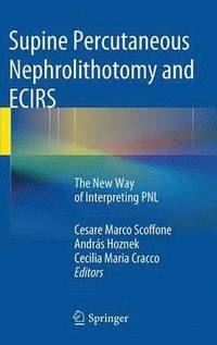 bokomslag Supine Percutaneous Nephrolithotomy and ECIRS