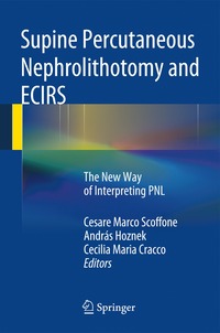 bokomslag Supine Percutaneous Nephrolithotomy and ECIRS