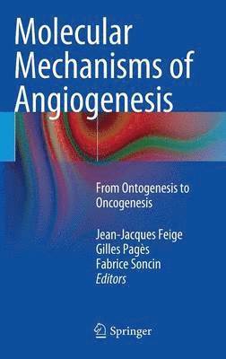 Jean-Jacques Feige, Gilles Pagès, Fabrice Soncin - Molecular Mechanisms of Angiogenesis, Inbunden