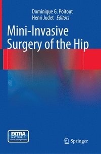 bokomslag Mini-Invasive Surgery of the Hip