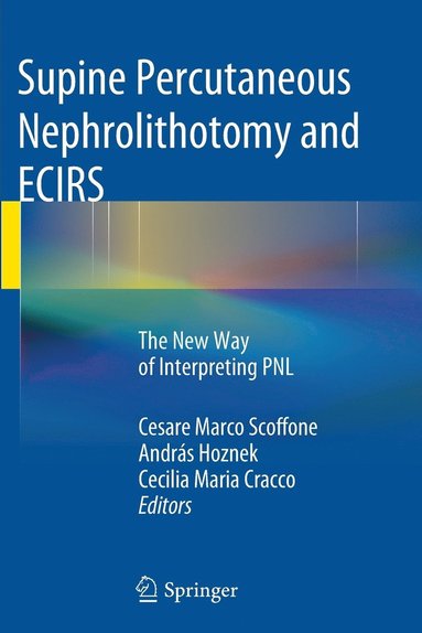 bokomslag Supine Percutaneous Nephrolithotomy and ECIRS