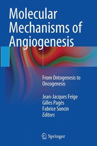 bokomslag Molecular Mechanisms of Angiogenesis