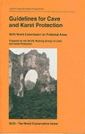 bokomslag Guidelines for Cave and Karst Protection