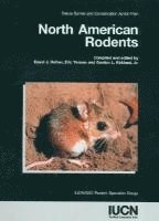 bokomslag North American Rodents