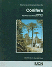 Conifers 1