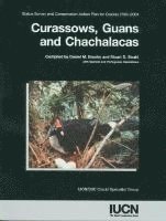 bokomslag Curassows, Guans and Chachalacas