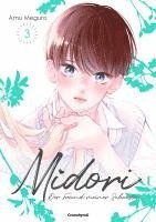 Midori - Der Freund meiner Schwester - Band 3