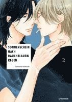 bokomslag Sonnenschein nach rauchblauem Regen - Band 2