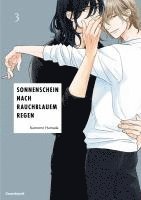 bokomslag Sonnenschein nach rauchblauem Regen - Band 3