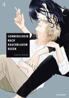 bokomslag Sonnenschein nach rauchblauem Regen - Band 4