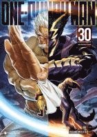 bokomslag ONE-PUNCH MAN - Band 30