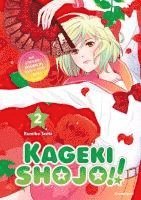 bokomslag Kageki Shojo!! - Band 2
