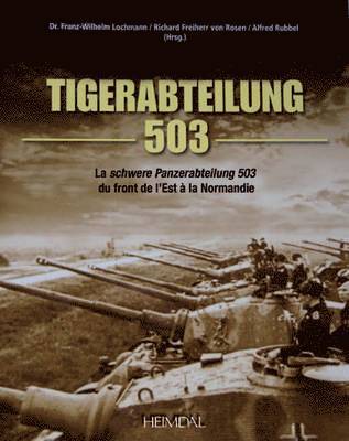 Tiger-Abteilung 503 1