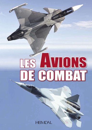 bokomslag Avions De Combat