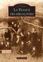 Alain Beyneix - France des mégalithes (La), Häftad