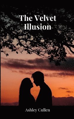 bokomslag Velvet Illusion