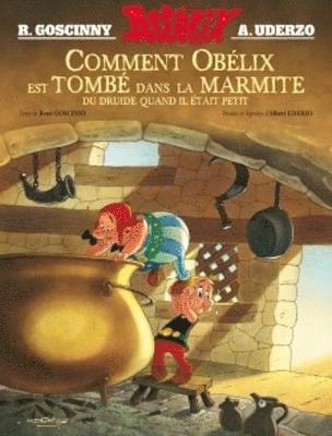 Comment Obelix est tombe dans la marmite du druide... 1
