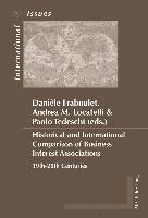 Danièle Fraboulet-Rousselier, Andrea Maria Locatelli, Paolo Tedeschi - Historical and International Comparison of Business Interest Associations, Häftad