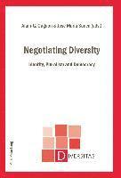 bokomslag Negotiating Diversity