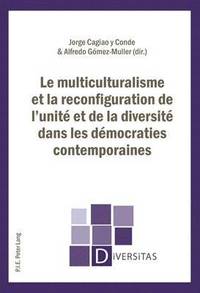 bokomslag Le Multiculturalisme Et La Reconfiguration de l'Unit Et de la Diversit Dans Les Dmocraties Contemporaines