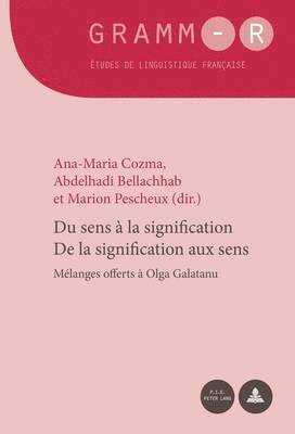 bokomslag Du Sens  La Signification / de la Signification Aux Sens