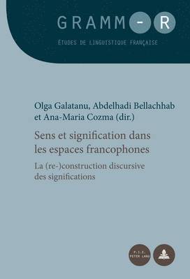 bokomslag Sens Et Signification Dans Les Espaces Francophones