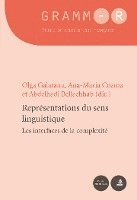 bokomslag Reprsentations Du Sens Linguistique