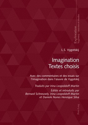 bokomslag Imagination Textes choisis
