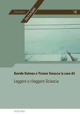 bokomslag Leggere E Rileggere Sciascia