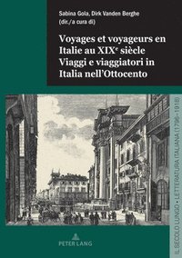 bokomslag Voyages Et Voyageurs En Italie Au Xixe Siècle / Viaggi E Viaggiatori in Italia Nell'ottocento