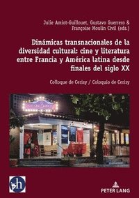 bokomslag Dinmicas Transnacionales de la Diversidad Cultural: Cine Y Literatura Entre Francia Y Amrica Latina Desde Finales del Siglo XX
