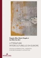 bokomslag Litterature interculturelle en Europe