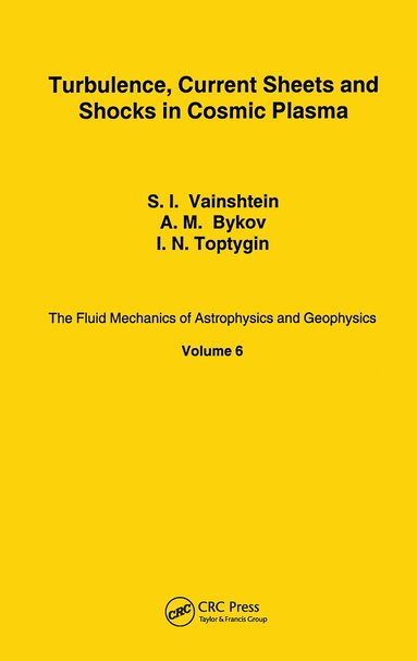 Samuil Iosifovich Vaĭnshteĭn, Andreĭ Mikhaĭlovich Bykov, Igor Nikolaevich Toptygin - Turbulence Curr Sheet Shocks C, Inbunden