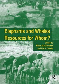 bokomslag Elephants & Whales